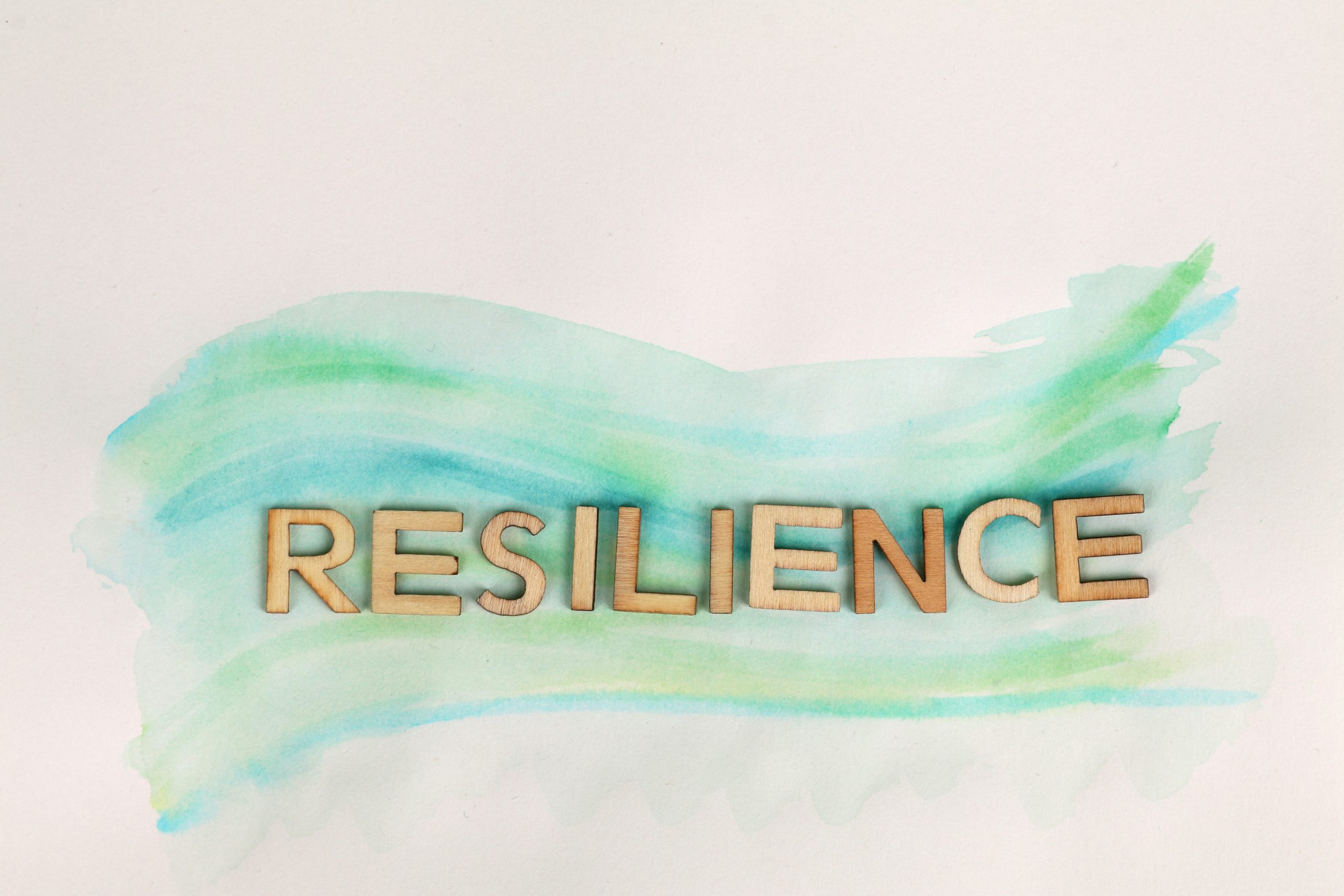 resilience for companies